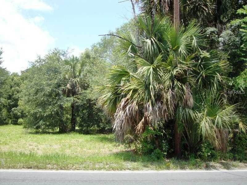 Land for Sale at SR 46/ 435 ROAD Mount Plymouth, Florida 32776 United States