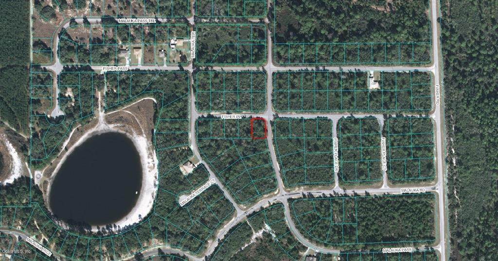 Land for Sale at FISHER PLACE Ocklawaha, Florida 32179 United States