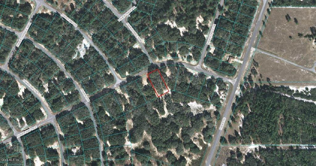 Land for Sale at FISHER WAY TRACE Ocklawaha, Florida 32179 United States