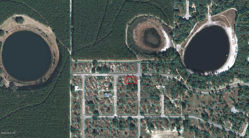 1. Land for Sale at MALAUKA TRAIL COURSE Ocklawaha, Florida 32179 United States