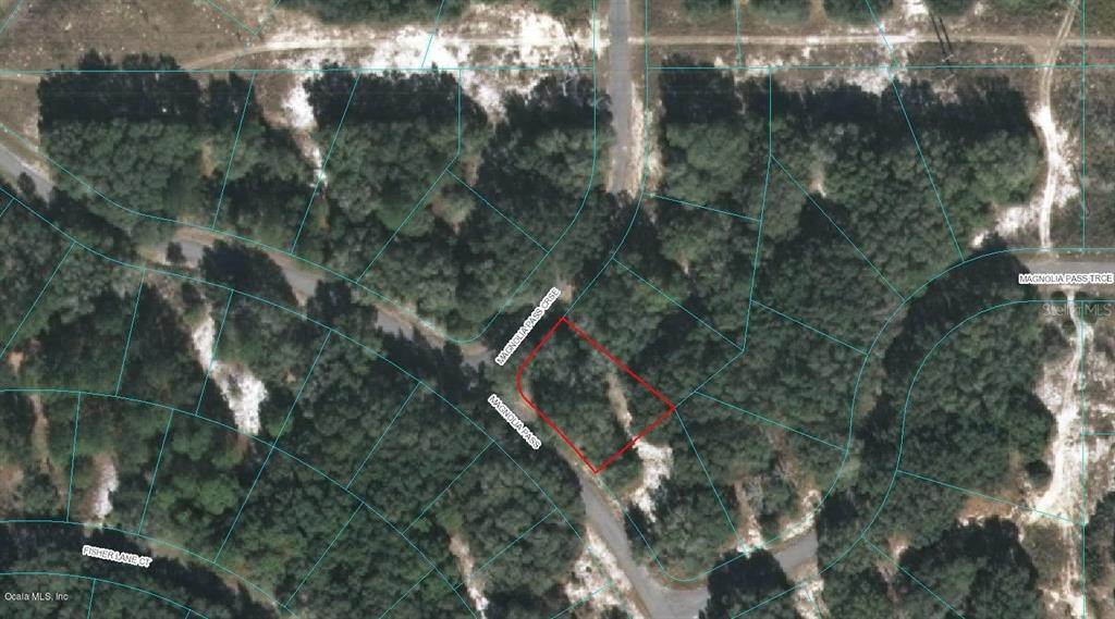 Land for Sale at MAGNOLIA PASS COURSE Ocklawaha, Florida 32179 United States