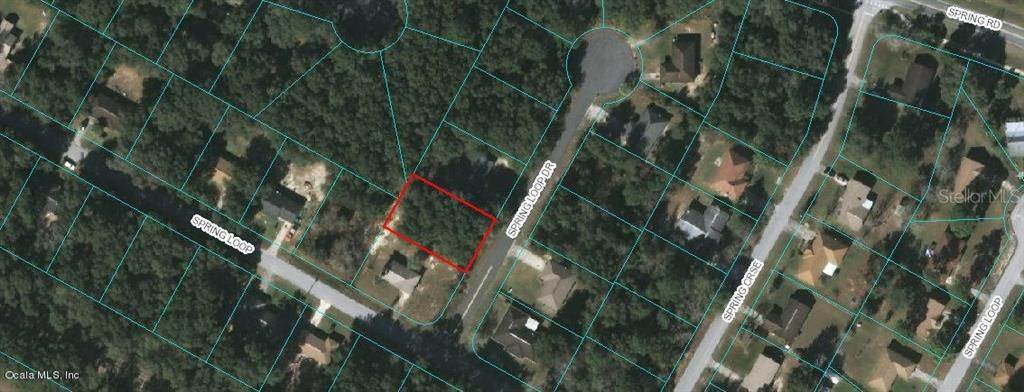 Land for Sale at SPRING LOOP DRIVE Ocala, Florida 34472 United States