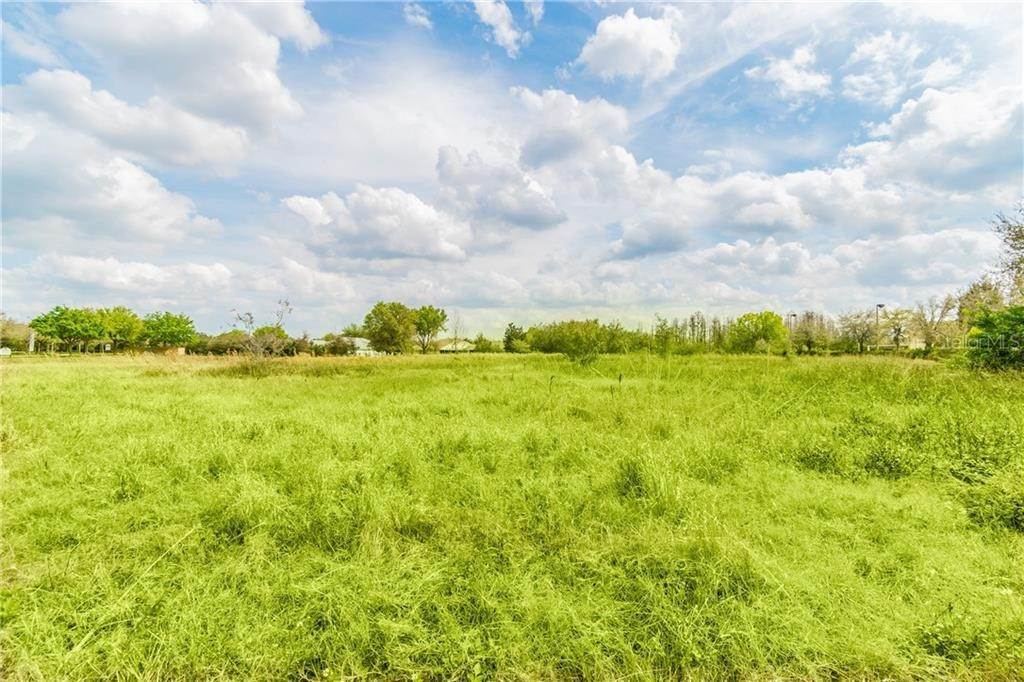 Land for Sale at PLEASANT PLAINS PARKWAY Land O' Lakes, Florida 34638 United States
