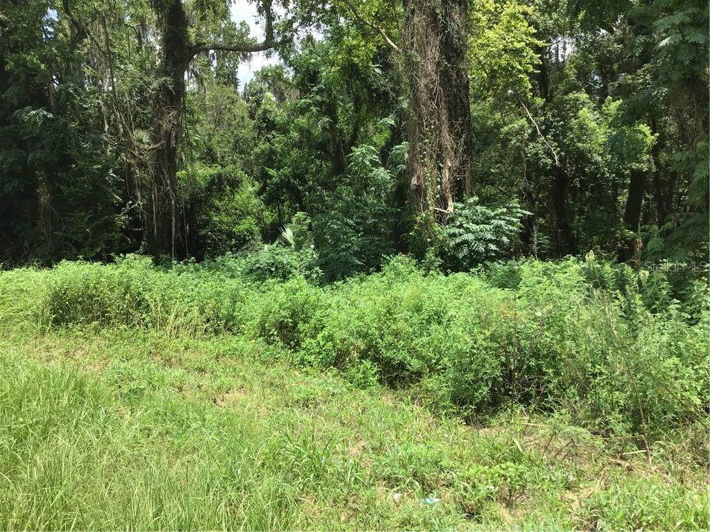 6. Land for Sale at N 441/301 HIGHWAY Citra, Florida 32113 United States