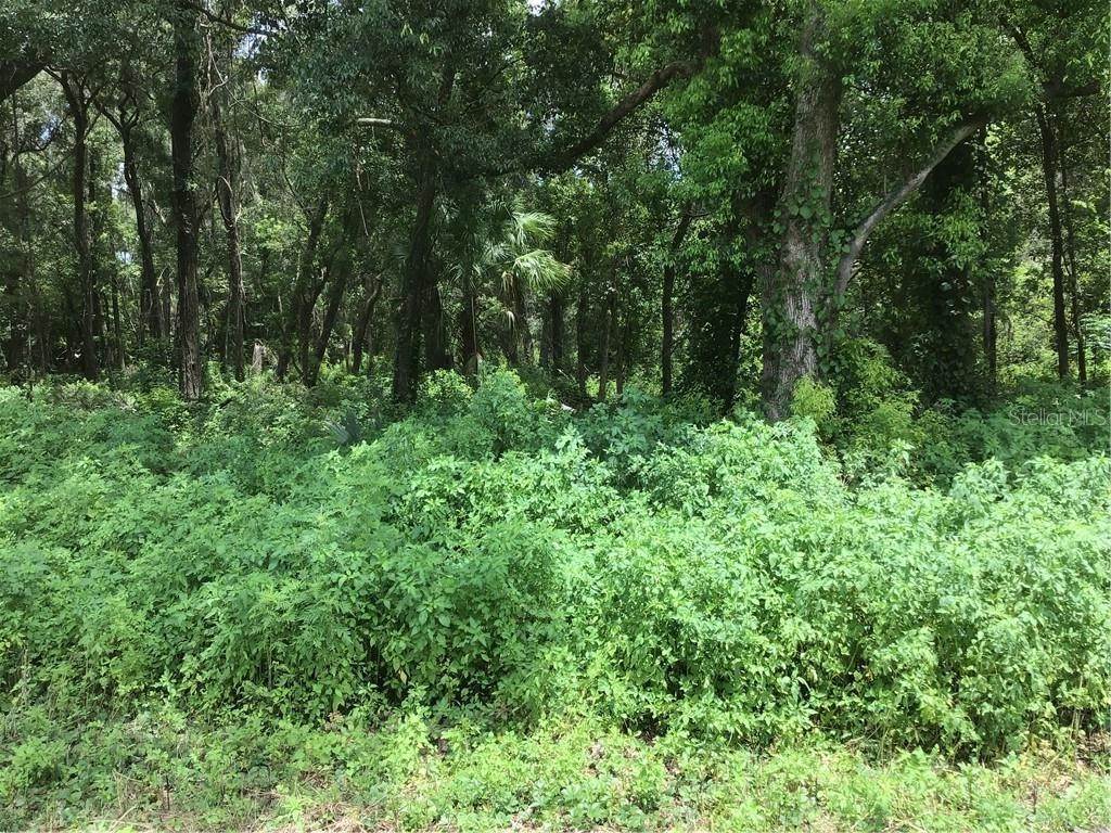 5. Land for Sale at N 441/301 HIGHWAY Citra, Florida 32113 United States