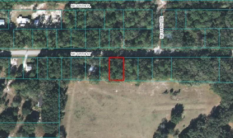 1. Land for Sale at NE 225TH STREET Fort Mc Coy, Florida 32134 United States