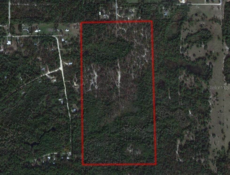 土地,用地 为 销售 在 1267 N JORIE TERRACE 水晶河, 佛罗里达州 34429 美国
