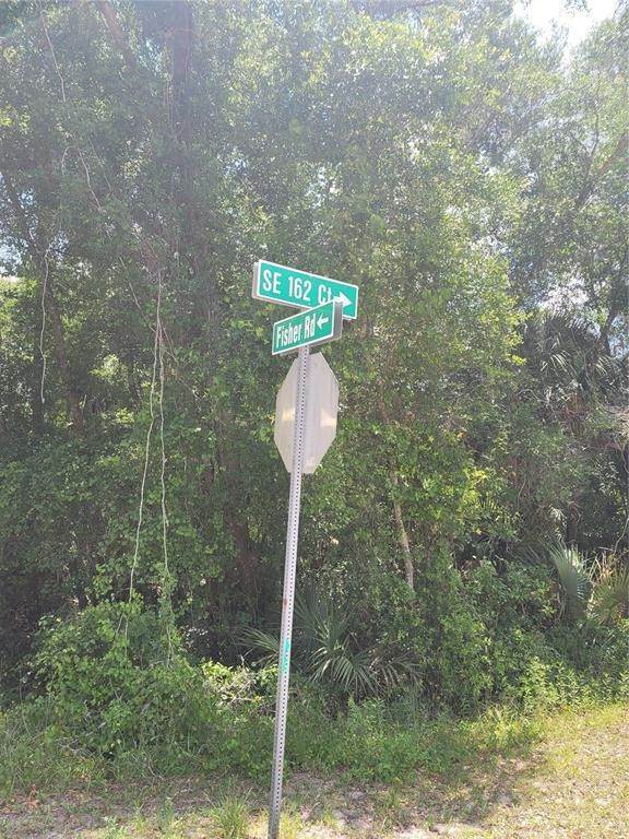 7. Land for Sale at FISHER ROAD Ocklawaha, Florida 32179 United States