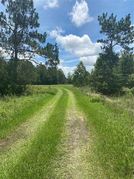 6. Land for Sale at SW 112TH PLACE Dunnellon, Florida 34432 United States