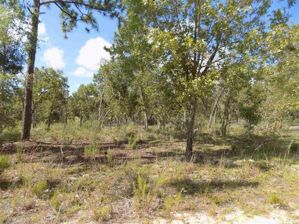 13. Land for Sale at LINCOLN CENTER ROAD Hawthorne, Florida 32640 United States