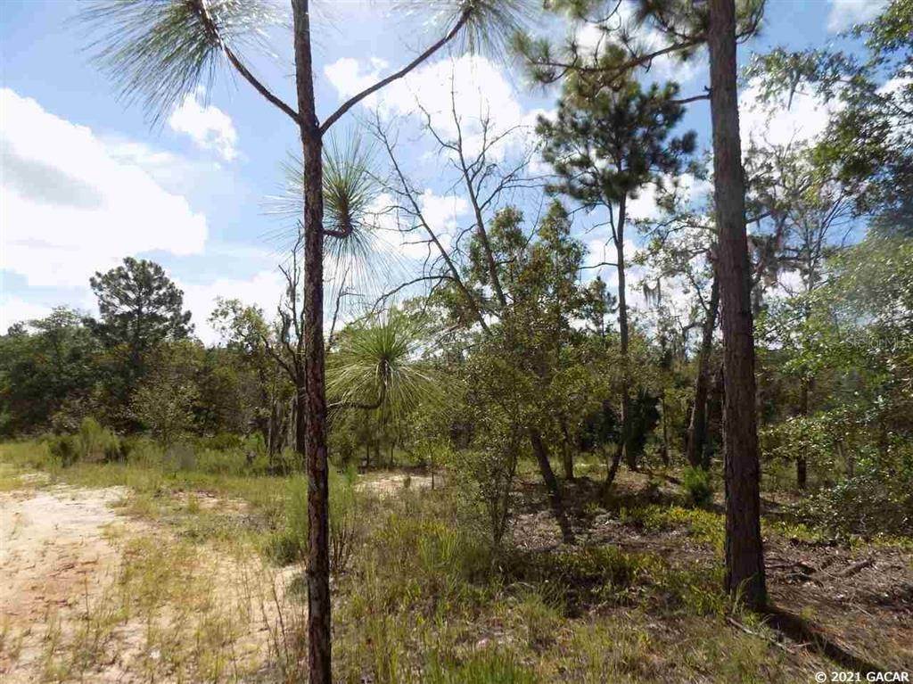 19. Land for Sale at LINCOLN CENTER ROAD Hawthorne, Florida 32640 United States