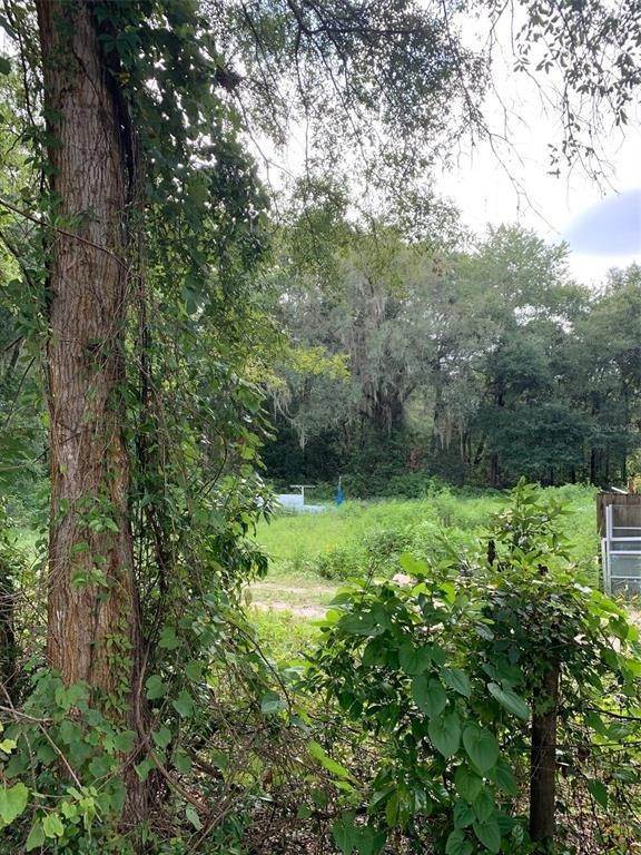 Land for Sale at 8841 NW 174TH STREET Fanning Springs, Florida 32693 United States
