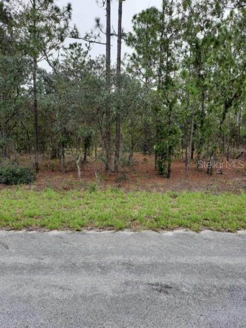 Land for Sale at SW LIME RIDGE LANE Dunnellon, Florida 34431 United States