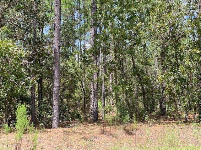 1. Land for Sale at SW 130 TERRACE Dunnellon, Florida 34432 United States