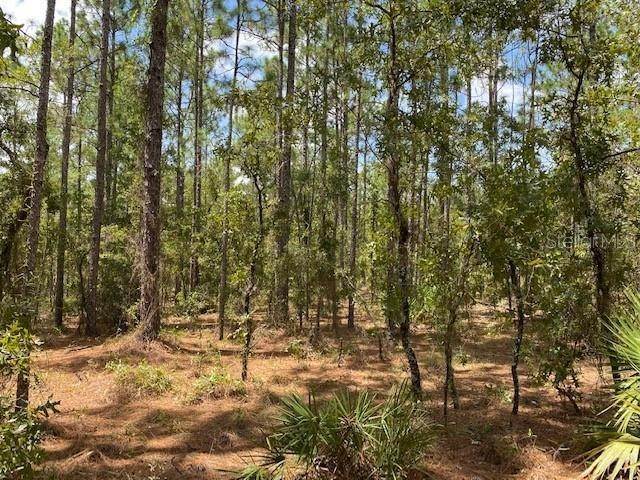 4. Land for Sale at SW 130 TERRACE Dunnellon, Florida 34432 United States