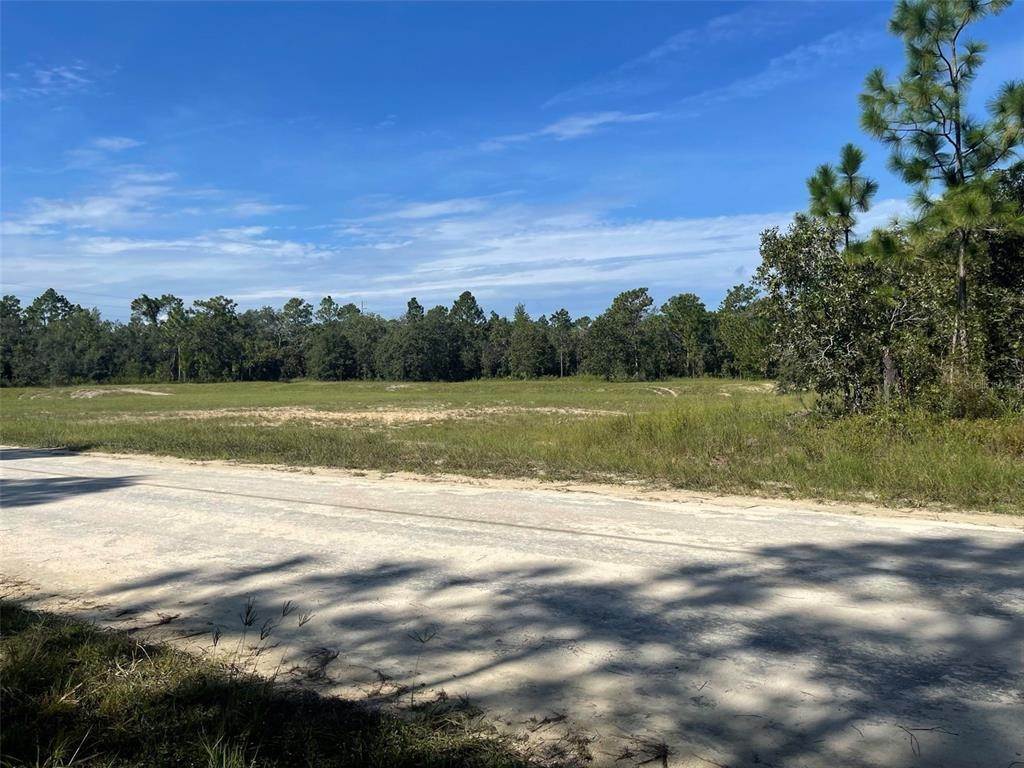 2. Land for Sale at 7 GRACKLE ROAD Weeki Wachee, Florida 34614 United States