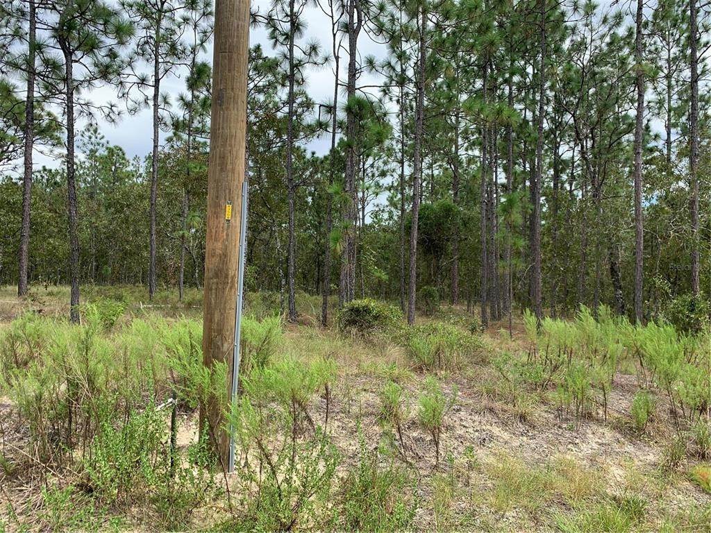 3. Land for Sale at NW RIDGEWOOD ROAD Dunnellon, Florida 34431 United States