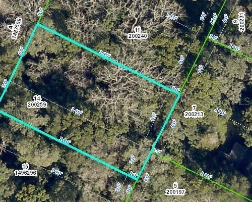 Land for Sale at MONROE AVENUE Masaryktown, Florida 34604 United States