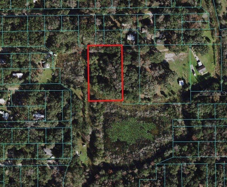 1. Land for Sale at NE 164TH PLACE Citra, Florida 32113 United States