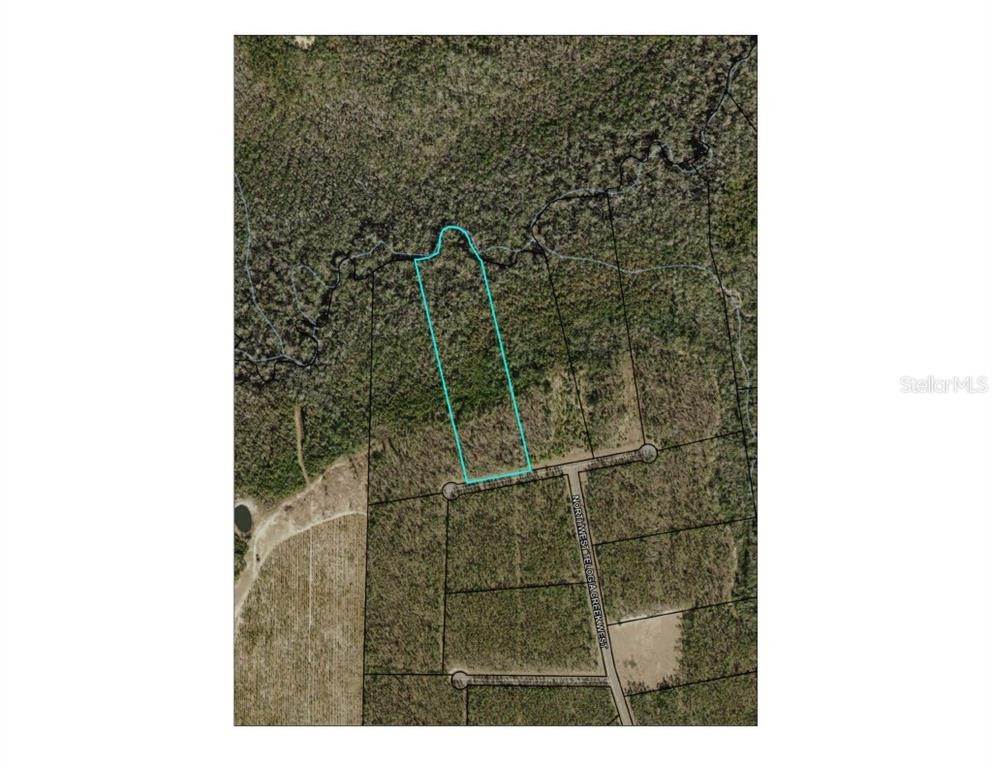 Land for Sale at 13 W Bristol, Florida 32321 United States