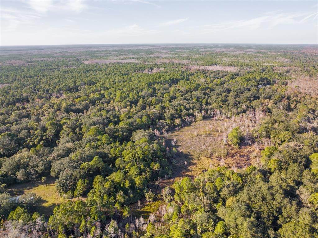 2. Land for Sale at NO STREET (LOT 36) Oak Hill, Florida 32759 United States