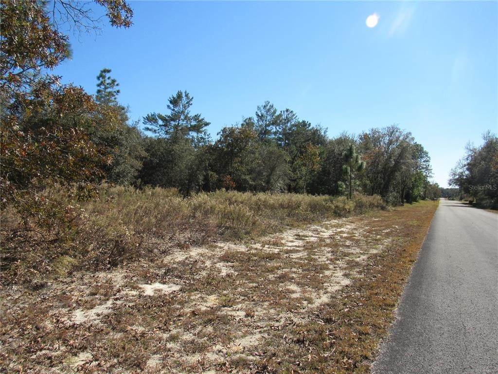 1. Land for Sale at SW SANDS POINT AVENUE Dunnellon, Florida 34431 United States