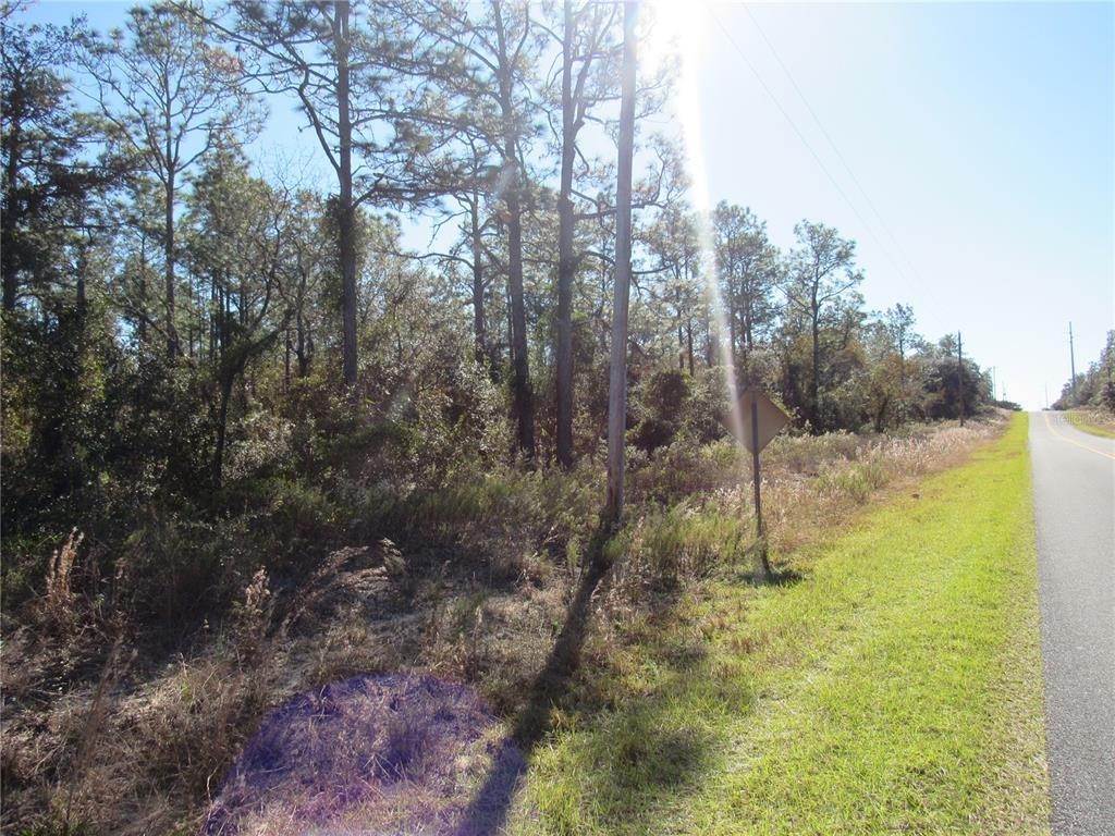 3. Land for Sale at SW IVY PLACE Dunnellon, Florida 34431 United States