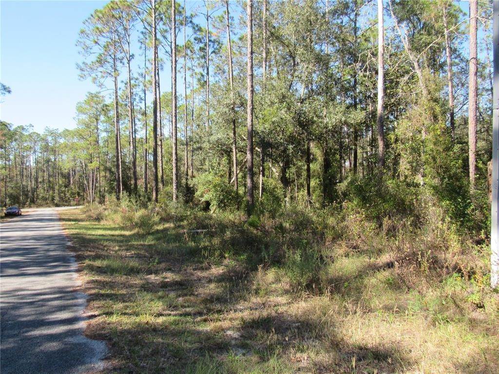 Land for Sale at SW NAUTILUS BOULEVARD Dunnellon, Florida 34431 United States