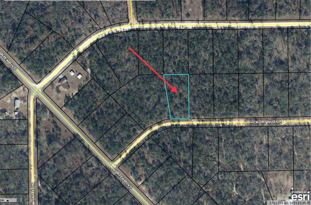 Land for Sale at HICKORY NUT DRIVE Marianna, Florida 32448 United States
