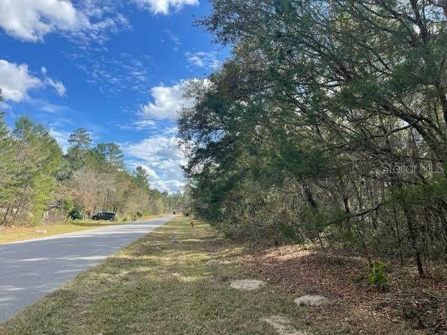 3. Land for Sale at Lot 2 SW 38TH AVENUE ROAD Ocala, Florida 34473 United States