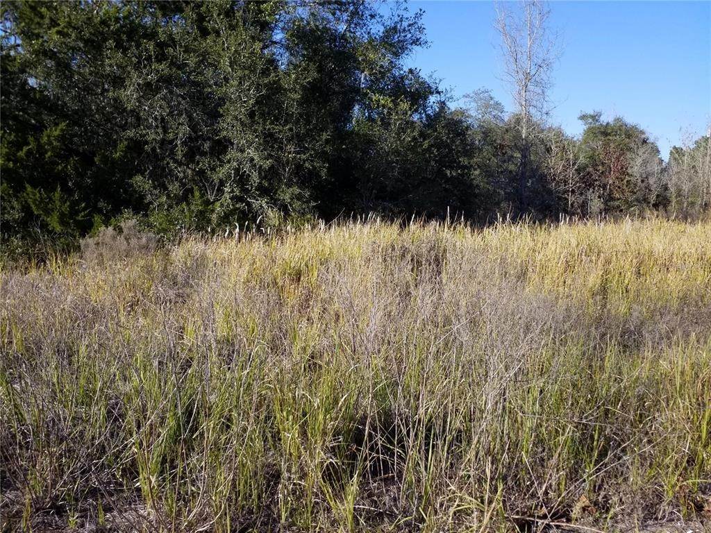 4. Land for Sale at W HIGHWAY 40 Dunnellon, Florida 34432 United States