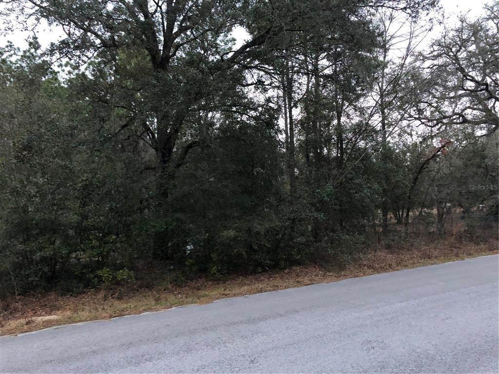 Land for Sale at SW 183RD TERRACE Dunnellon, Florida 34432 United States