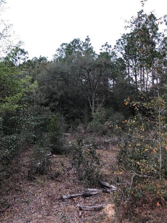 5. Land for Sale at SW 183RD TERRACE Dunnellon, Florida 34432 United States
