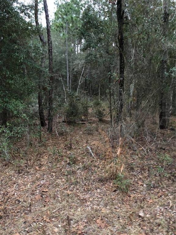 10. Land for Sale at SW 183RD TERRACE Dunnellon, Florida 34432 United States