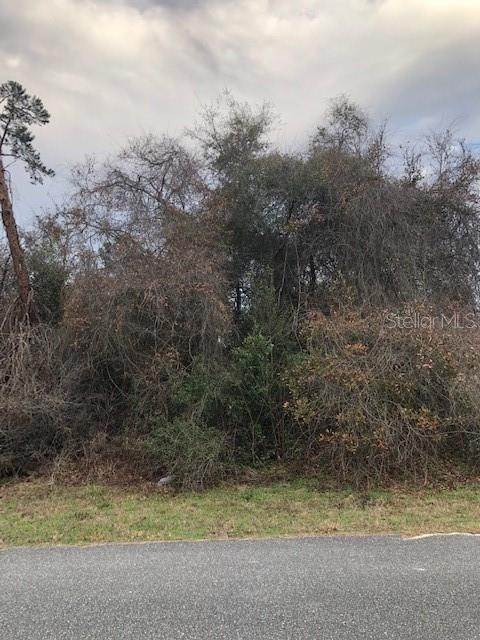 1. Land for Sale at SW 43RD Circle Ocala, Florida 34473 United States
