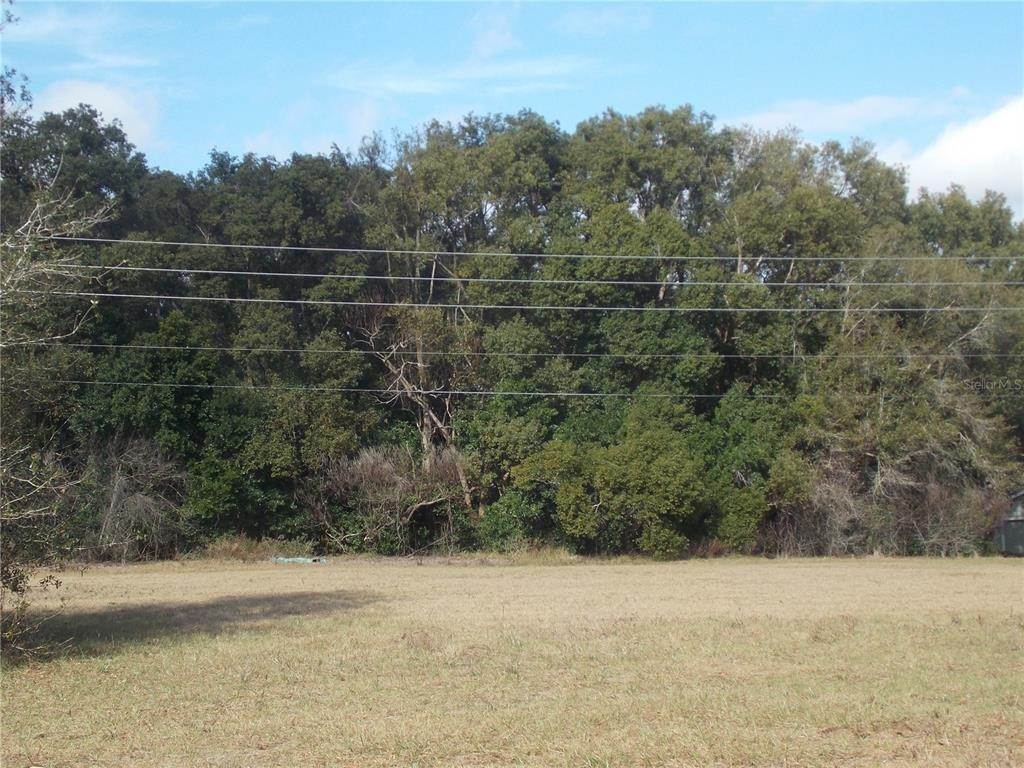 Land for Sale at TURNBERRY AVENUE Mount Plymouth, Florida 32776 United States