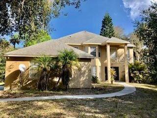 Single Family Homes for Sale at 2640 CANVASBACK TRAIL Geneva, Florida 32732 United States