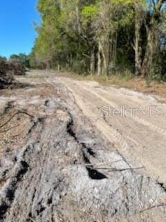 14. Land for Sale at HWY 92 Auburndale, Florida 33823 United States