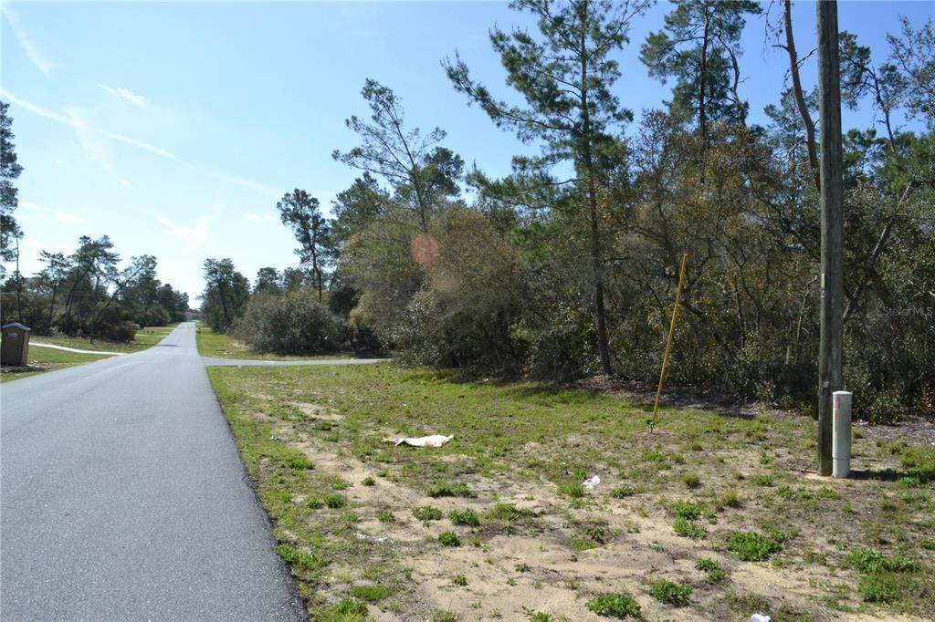 6. Land for Sale at SW 168TH LOOP Ocala, Florida 34473 United States
