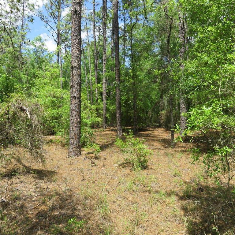 1. Land for Sale at SW 25TH PLACE LOT 28 Ocala, Florida 34481 United States
