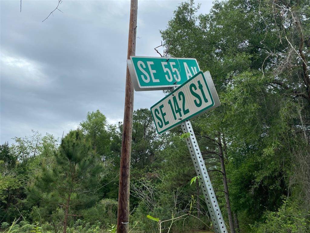 2. Land for Sale at SE 142ND STREET Summerfield, Florida 34491 United States
