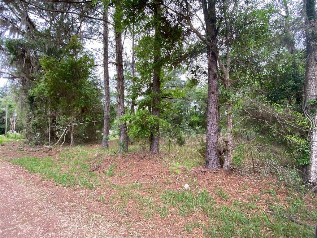 5. Land for Sale at SE 142ND STREET Summerfield, Florida 34491 United States