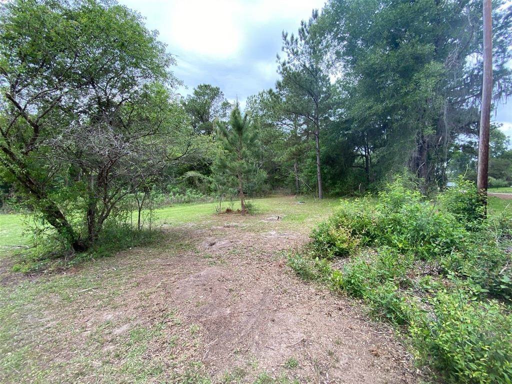 9. Land for Sale at SE 142ND STREET Summerfield, Florida 34491 United States