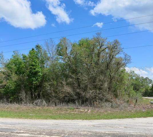 3. Land for Sale at MALAUKA ROAD Weirsdale, Florida 32195 United States
