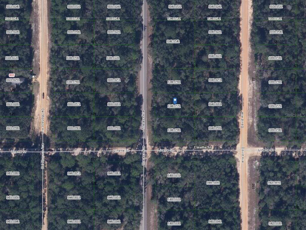 3. Land for Sale at THERESA AVENUE Interlachen, Florida 32148 United States