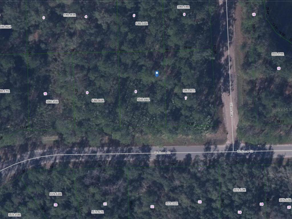 4. Land for Sale at WALLACE STREET Interlachen, Florida 32148 United States
