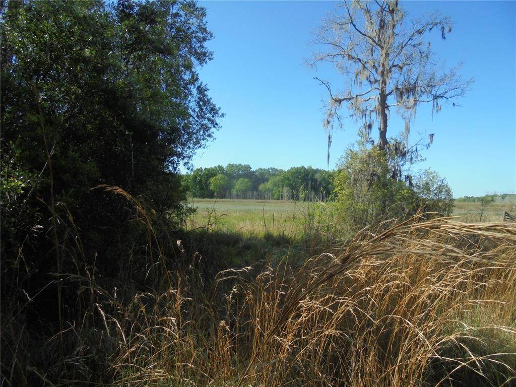 3. Land for Sale at TBD 183RD AVE Road Ocklawaha, Florida 32179 United States