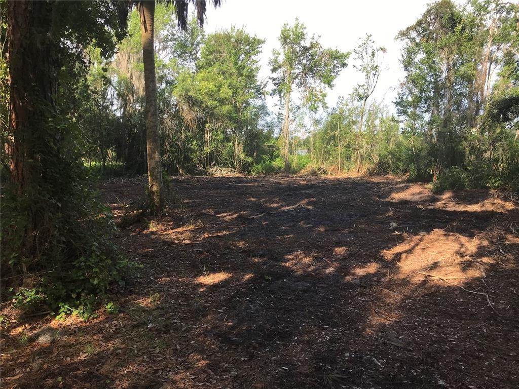 20. Land for Sale at SE 229TH DRIVE Hawthorne, Florida 32640 United States