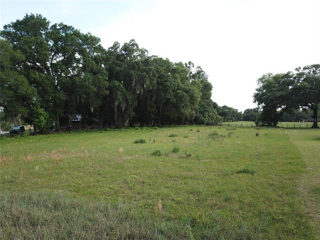 Land for Sale at CLAYTON TRAIL Altoona, Florida 32702 United States