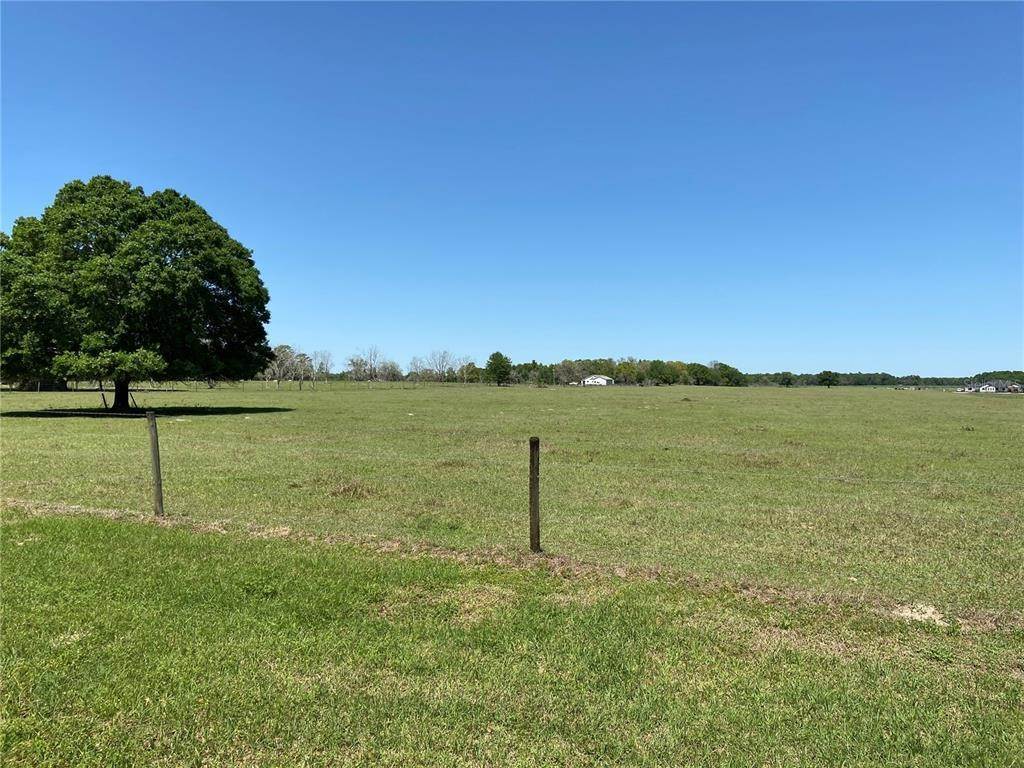 Land for Sale at 32 CR 210 Oxford, Florida 34484 United States